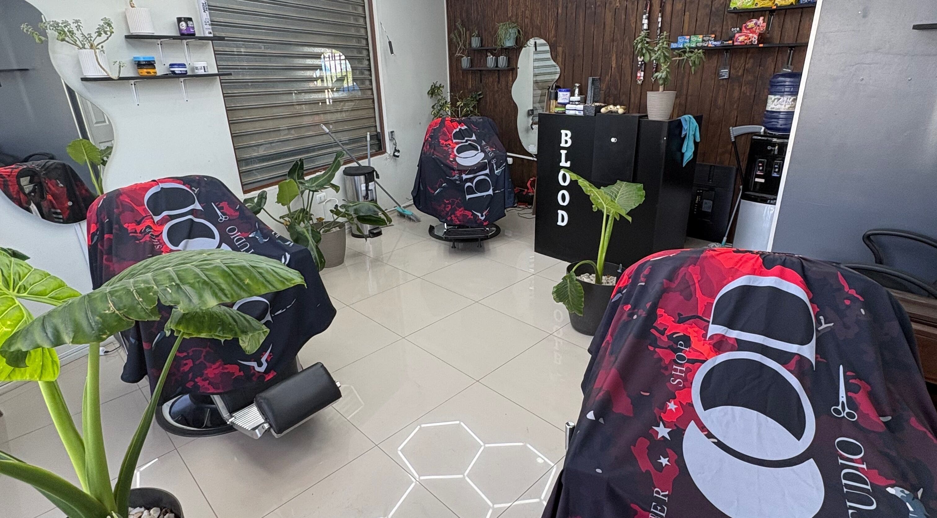 Interior de Blood Studio en Cachapoal, O'higgins, CL con sillas y plantas decorativas.