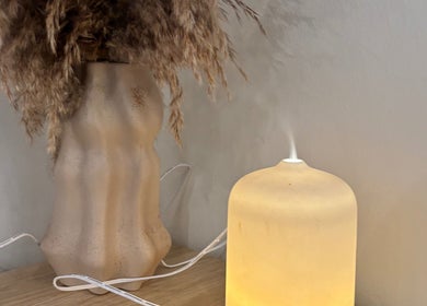 A calming diffuser beside pampas grass at hattieXhair, Worcester, England, GB.