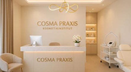 Cosma Praxis image 2