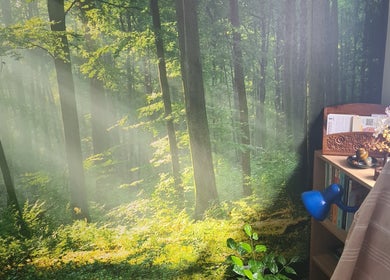 Tranquil forest-themed therapy room at Offas Dyke Reflexology in Trefonen, England, GB.