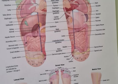 Reflexology chart at Offas Dyke Reflexology in Trefonen, England, GB, showcasing therapeutic foot zones.