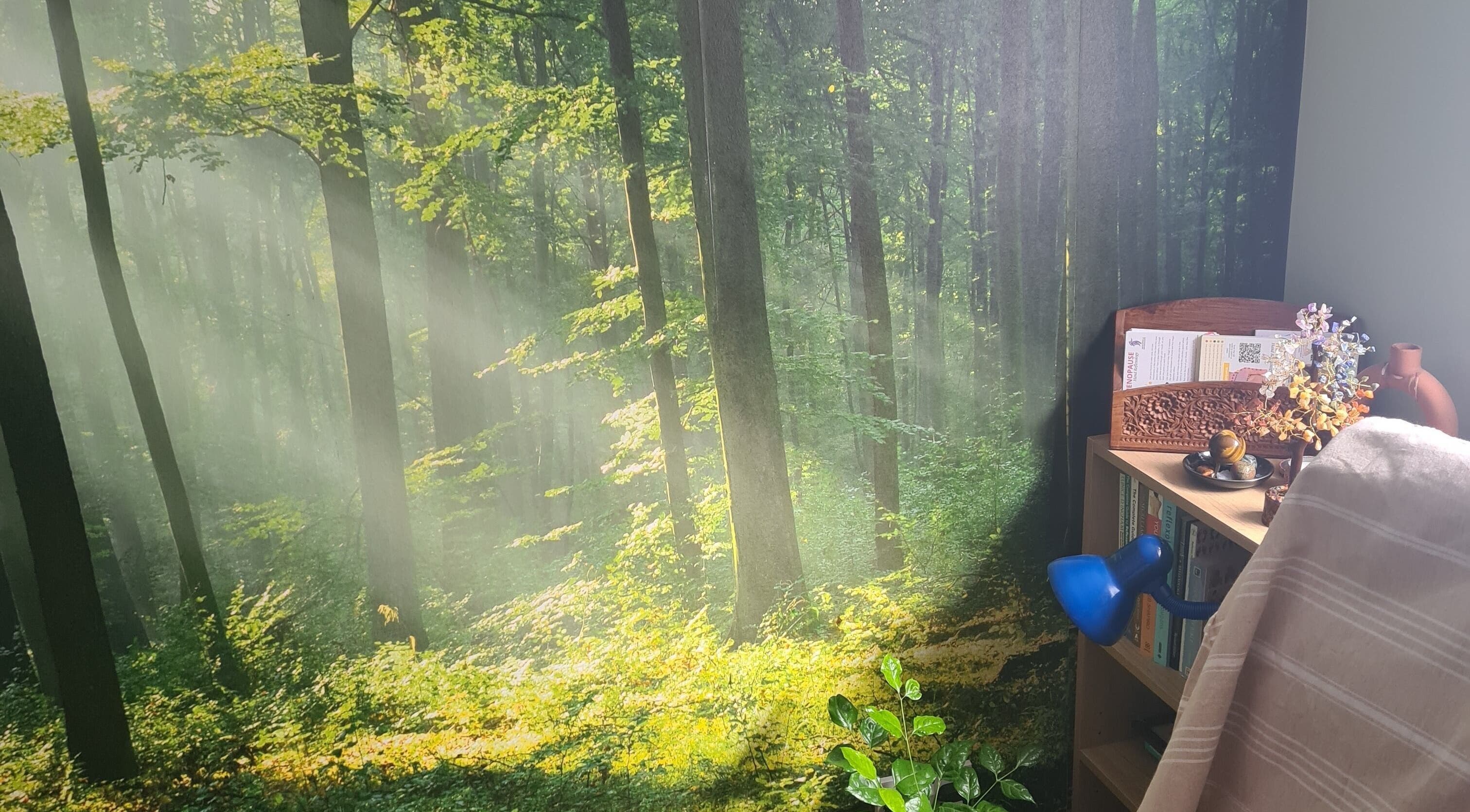 Offas Dyke Reflexology and holistic therapies room with a forest backdrop, Trefonen, England, GB.
