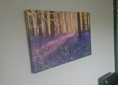 Framed forest and bluebell artwork at Offas Dyke Reflexology, Trefonen, England, GB.