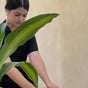 Shalá Wellness Spa