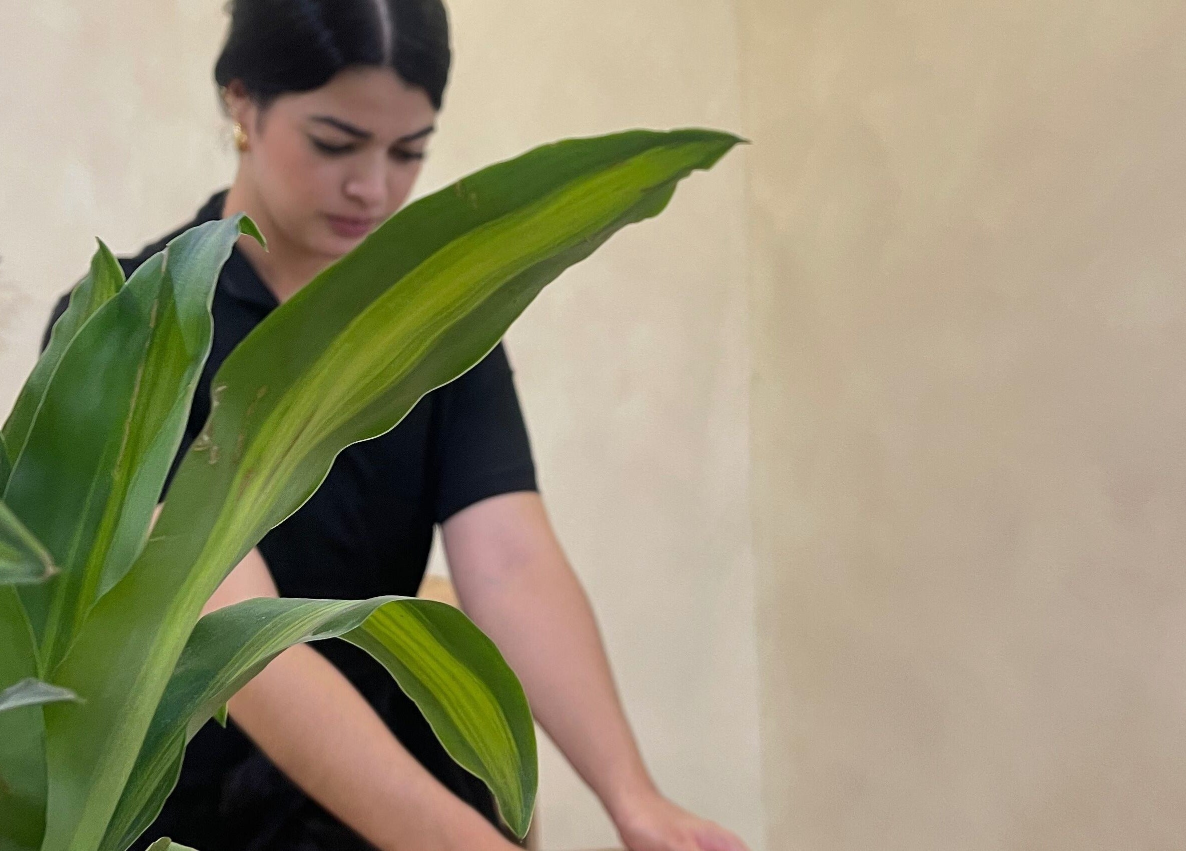 Terapista en Shalá Wellness Spa, Medellín, Antioquia, CO, ofrece relajante masaje junto a una planta verde.