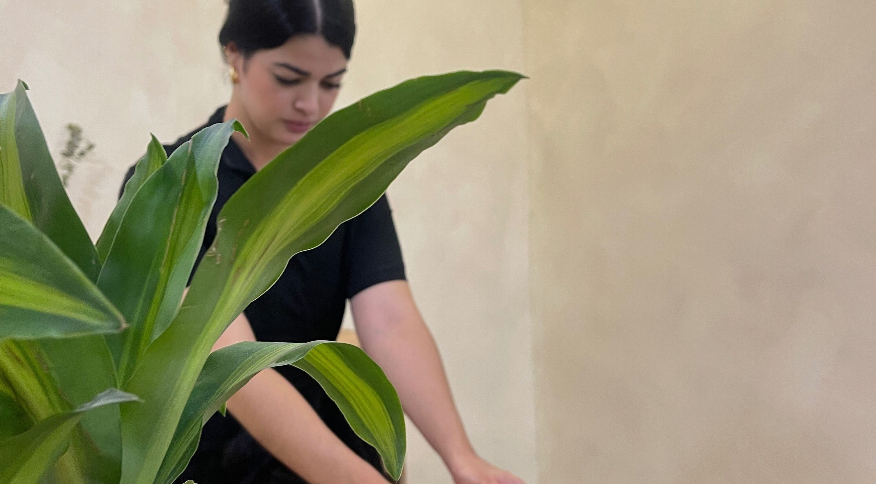 Terapista en Shalá Wellness Spa, Medellín, Antioquia, CO, ofrece relajante masaje junto a una planta verde.