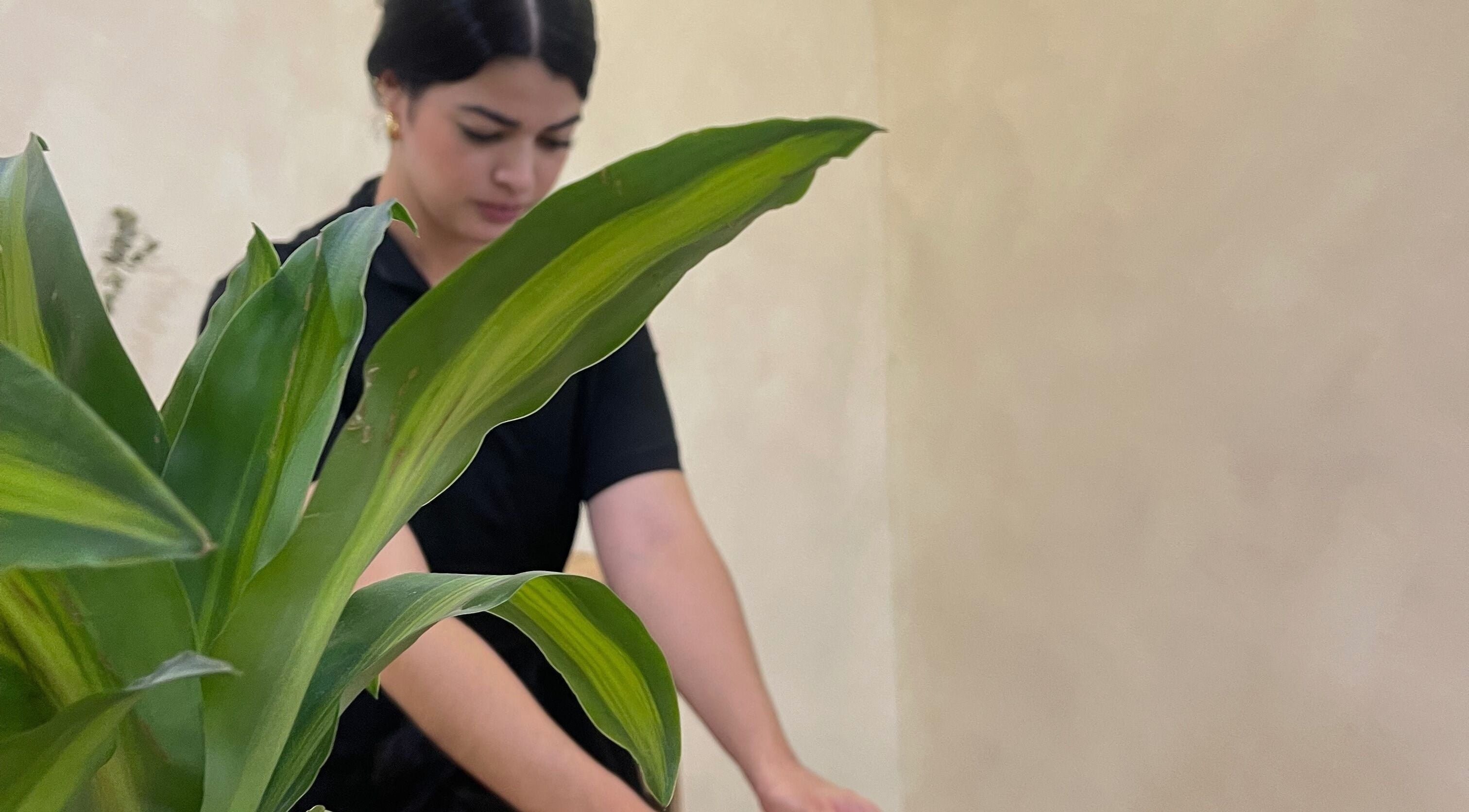 Terapista en Shalá Wellness Spa, Medellín, Antioquia, CO, ofrece relajante masaje junto a una planta verde.