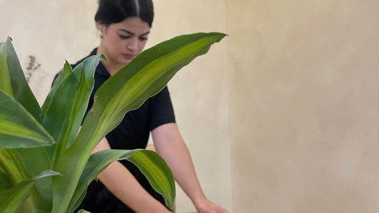 Shalá Wellness Spa