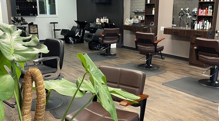 Easy Cuts & Color