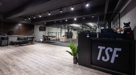 TSFstudio image 3