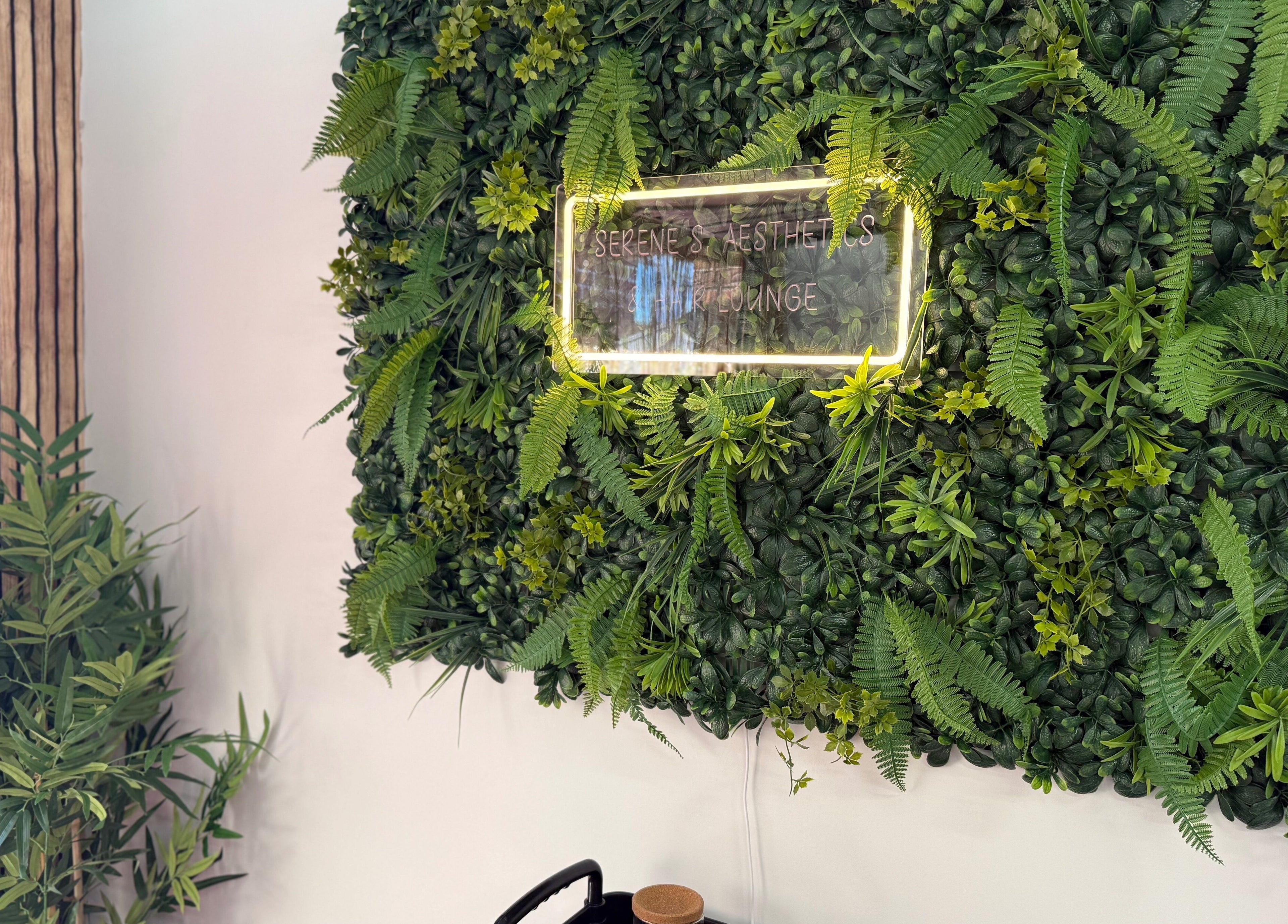 Vertical garden wall at Serene S. Esthetics & Hair Lounge, Newport, Wales, GB, enhancing the tranquil ambiance.