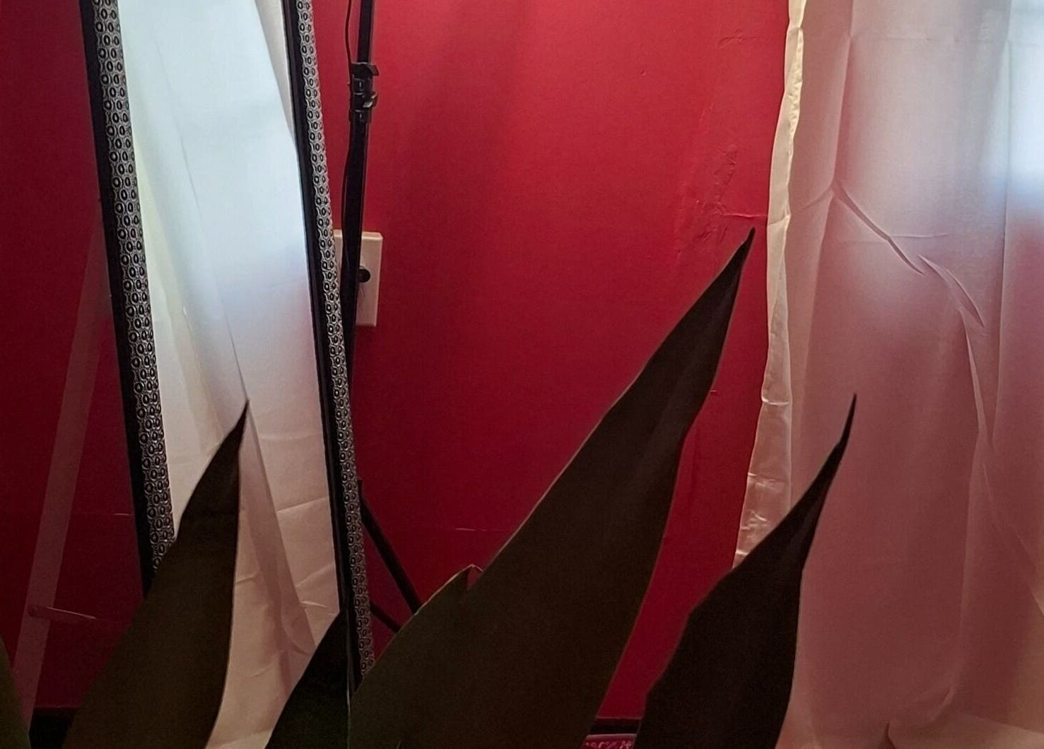 Elegant mirror with a red backdrop at Glow & Go, Paramaribo, Paramaribo, SR.