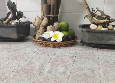 Zen decor with bonsai and natural elements at Oi Nha Trang Spa, Nha Trang, Khánh Hòa, VN.