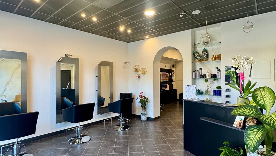 Hairly Beauty Concept, bilde 1