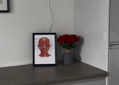 ByMara venue in Glasgow, Scotland, GB features a framed anatomical print and vase of red roses.