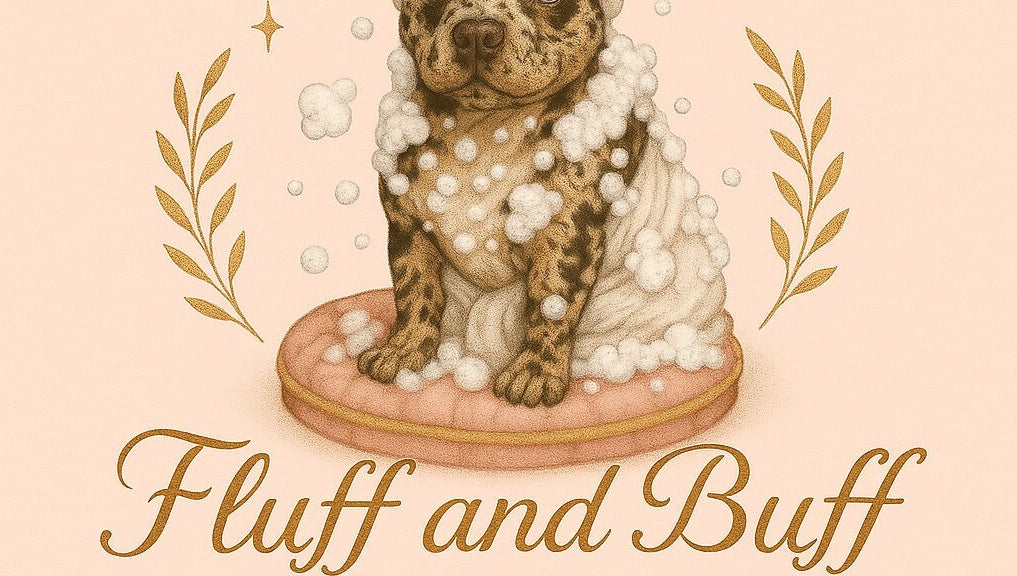 Illustration of a puppy in a bubble bath, Fluff and Buff Luxury Grooming by Catina, Ware Shoals, South Carolina, US.