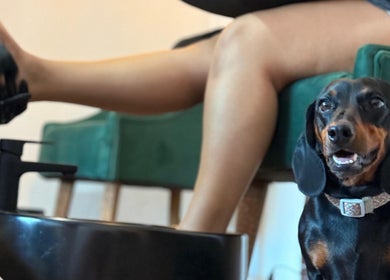 Perro relajado junto a cliente en 41.10 Nails Studio, Tulum, Quintana Roo, MX.