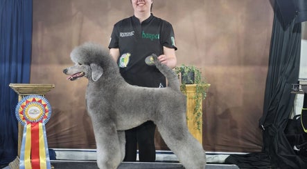 Laura’s Dog Styling