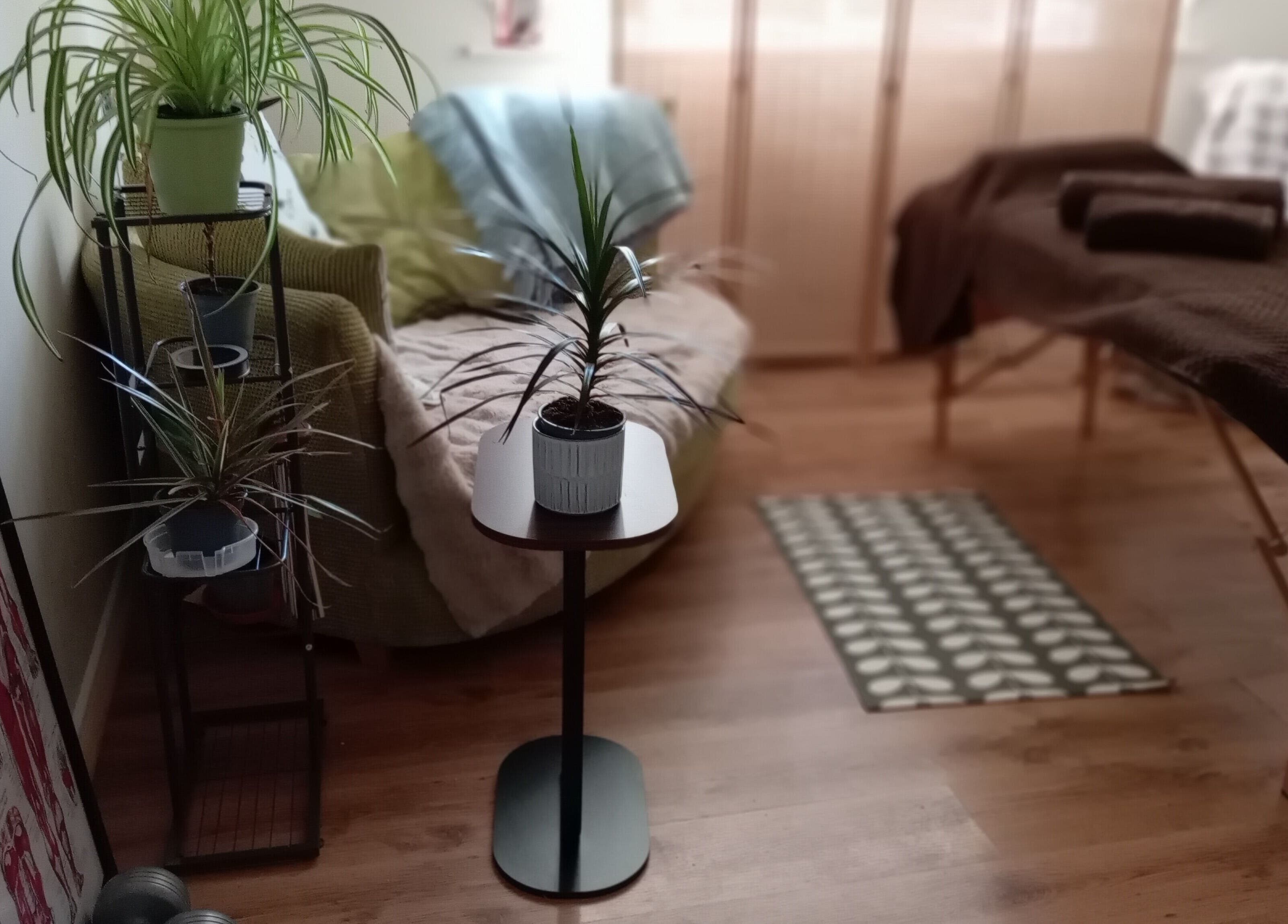 Tranquil massage room with plants at Melt Massage, Royal Leamington Spa, England, GB.