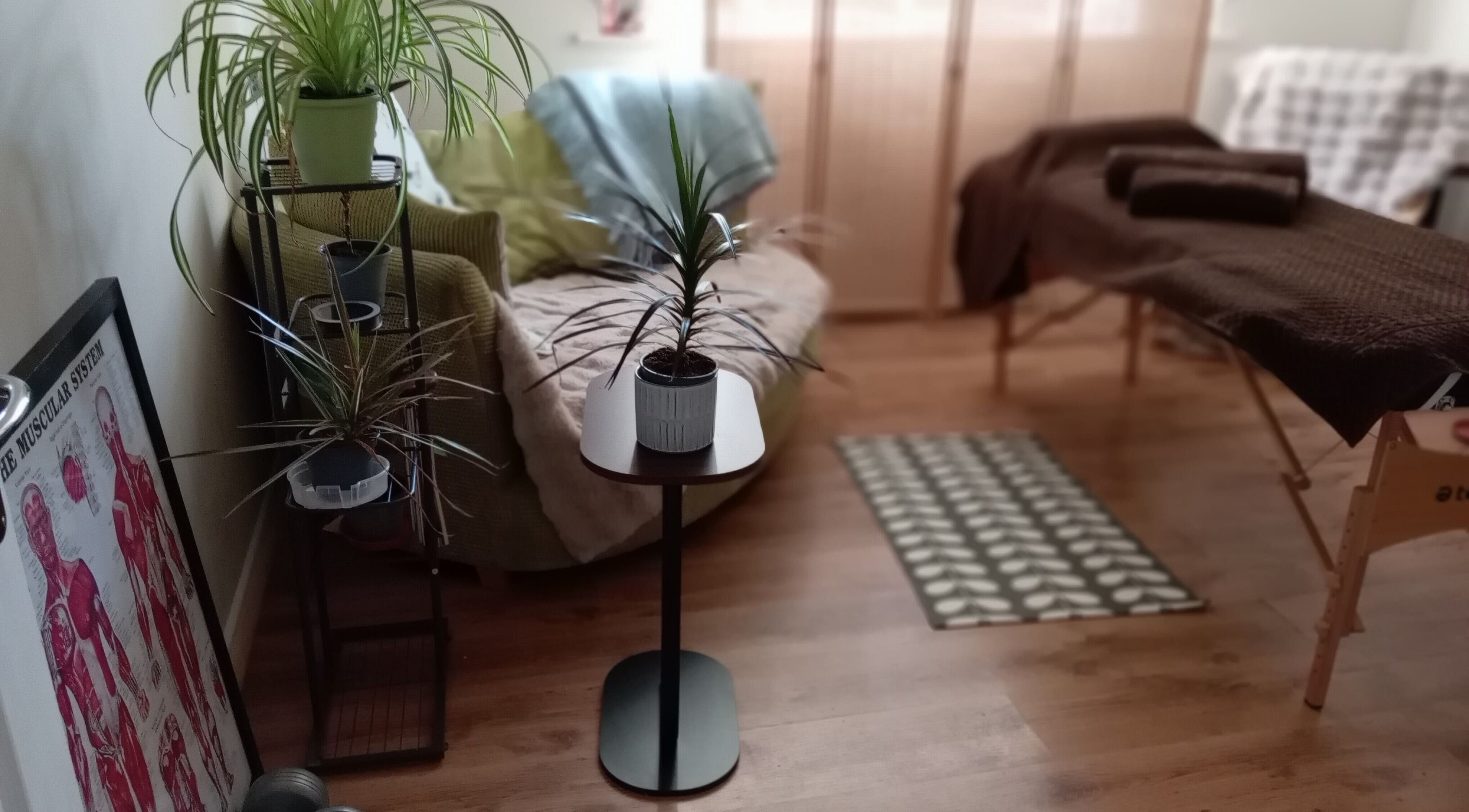 Tranquil massage room with plants at Melt Massage, Royal Leamington Spa, England, GB.