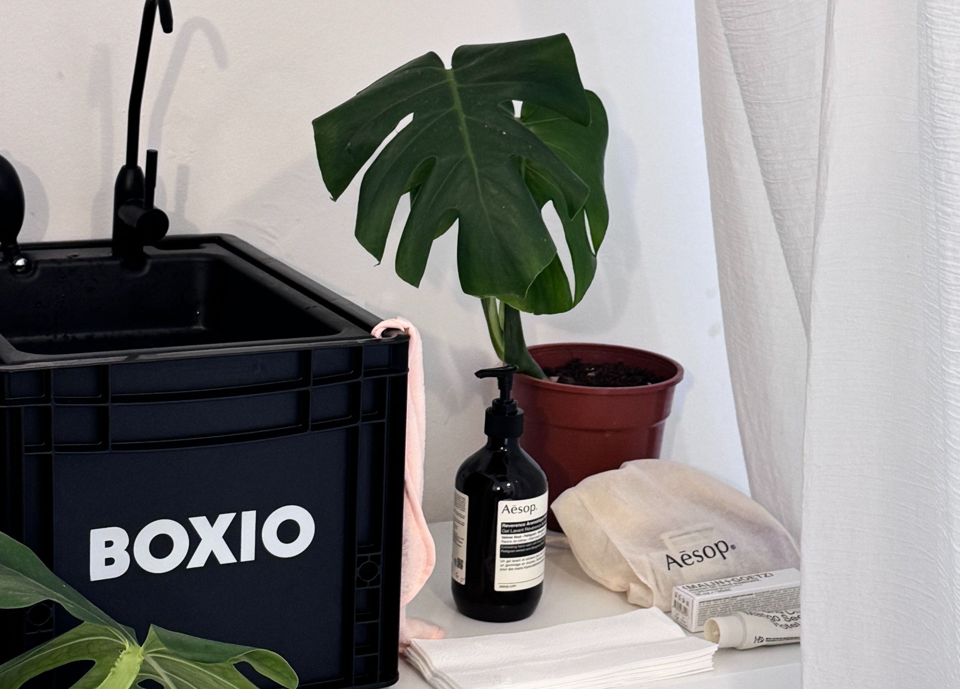 Modern sink and plant setup at Shervie Art Studio in London, England, GB for beauty and wellness ambiance.