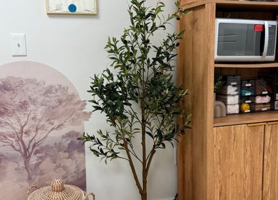 Cozy corner at Aseel Laser Lounge, Lexington. Features elegant decor with an olive tree and storage unit.