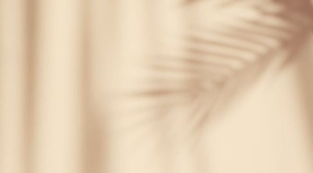 Soft shadow of a palm leaf on a beige wall at Looksbygumi, Toronto, Ontario, CA.