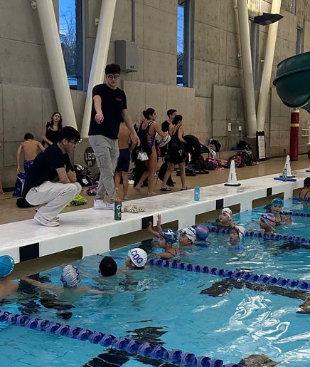 Olympians Swimming image 2