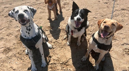 Parker's Pawsitive Pups - Hutton Moor Playing Fields image 3
