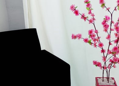 Sala de espera com cadeira preta e arranjo de flores rosa em Maiza Beauty - São Caetano do Sul, São Paulo, BR.