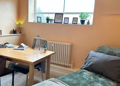 Calm therapy room at A Gentle Pace Hypnotherapy, Newcastle upon Tyne, England, showcasing a peaceful setting.