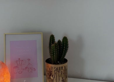 Cozy decor at Réalta Studio in County Mayo, County Mayo, IE featuring a cactus and Himalayan salt lamp.