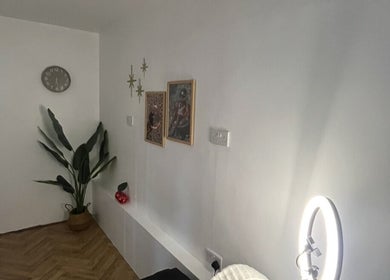 Aesthetic studio corner at BABE Aesthetics, Billingham, England, GB, featuring wall art and a potted plant.
