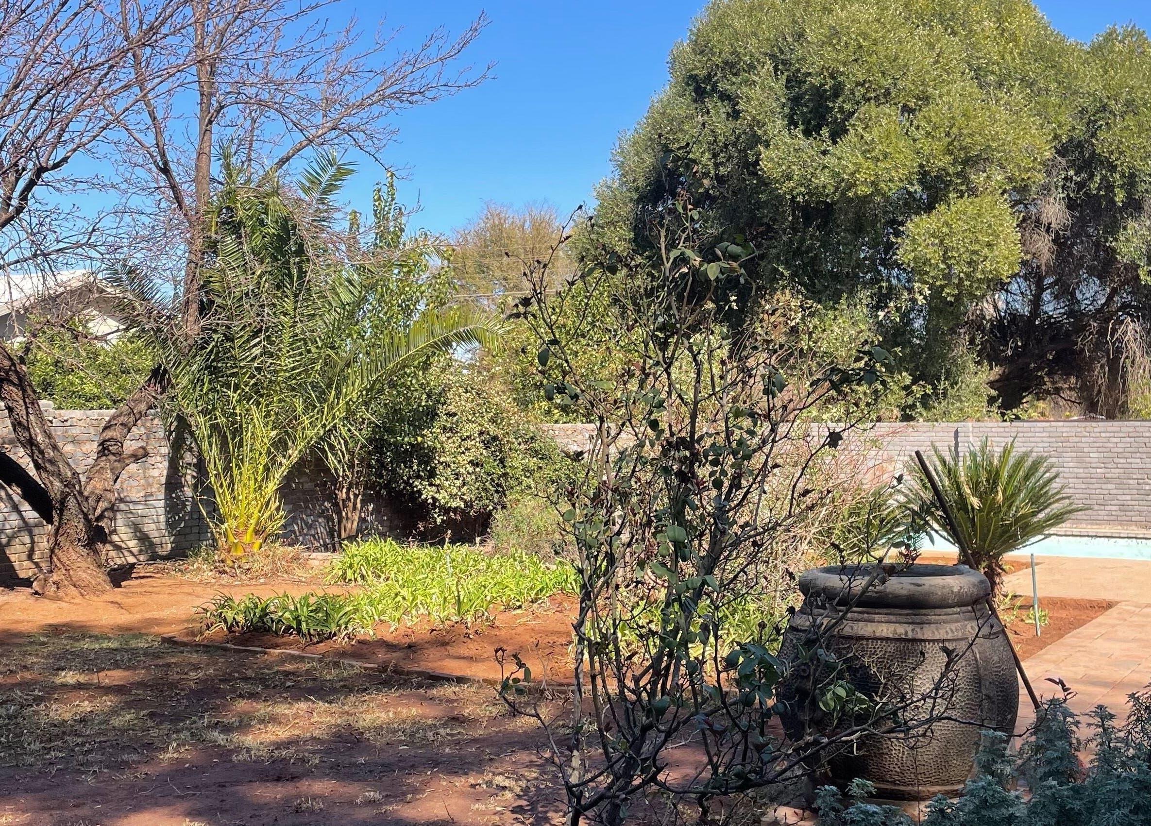 Tranquil garden at Serenity Spa, Kuruman, Northern Cape, ZA, showcasing lush greenery and a serene ambiance.