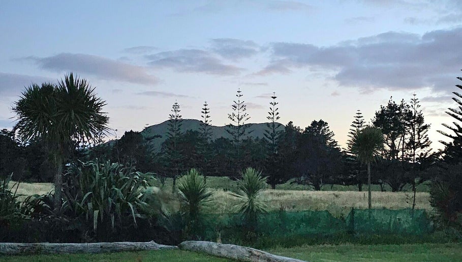 Serene twilight view of natural landscape at Wai Ora Spa Therapies, Pukenui, Northland Region, NZ.