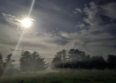 Tranquil moonlit landscape at Wai Ora Spa Therapies, Pukenui, Northland Region, NZ, set against mist and trees.