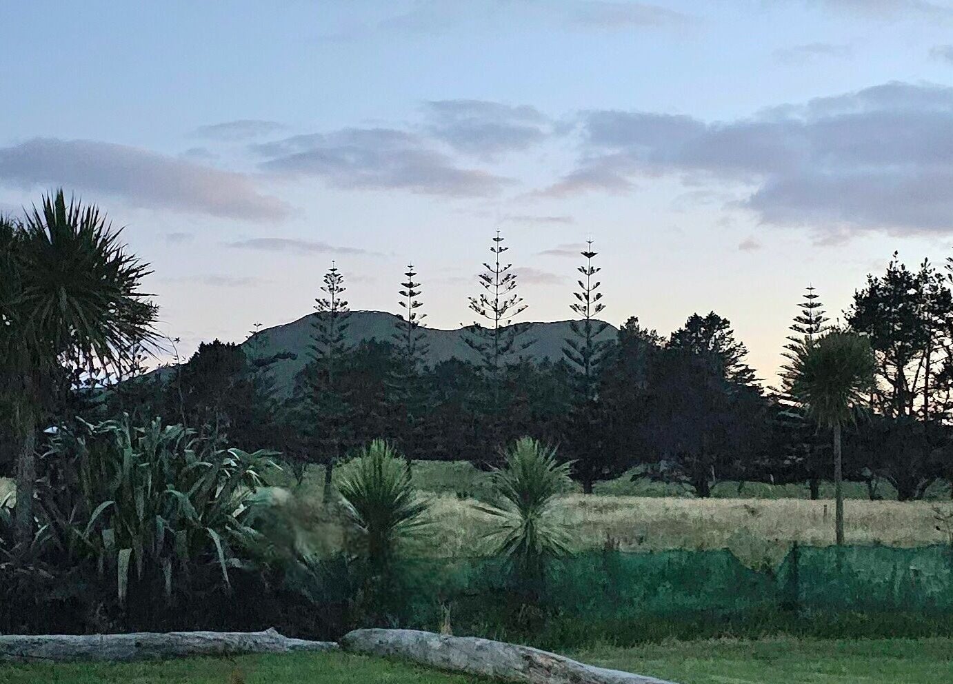 Scenic dusk view from Wai Ora Spa Therapies, capturing serene greenery in Pukenui, Northland Region, NZ.