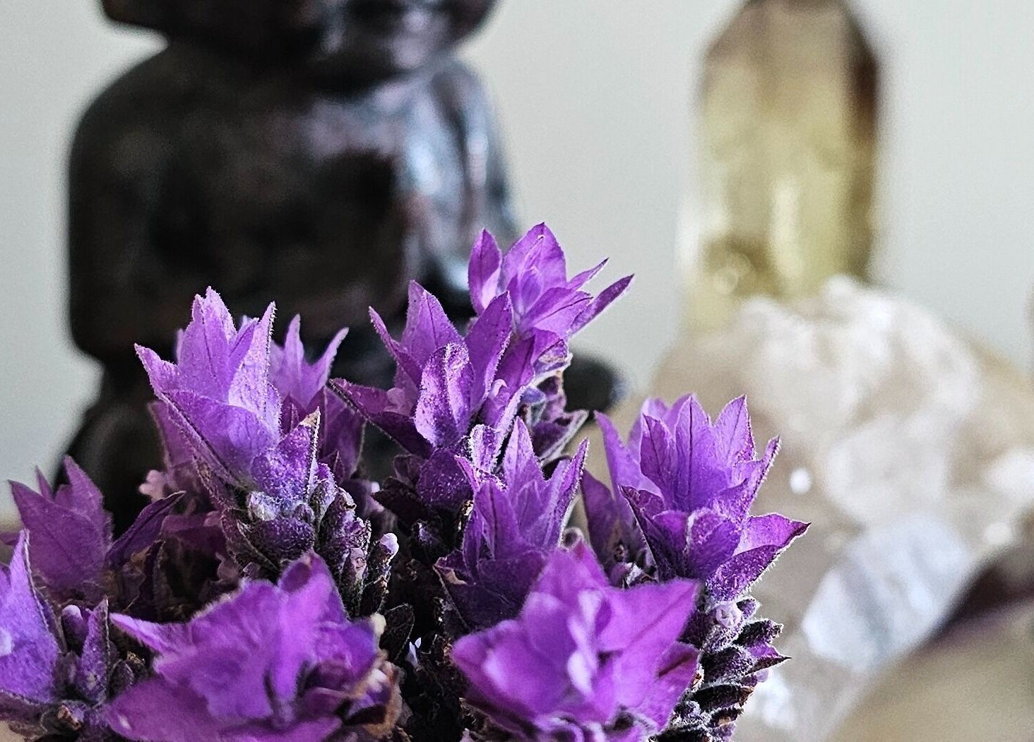 Lavender flowers enhance serenity at Wai Ora Spa Therapies, Pukenui, Northland Region, NZ with calming decor.