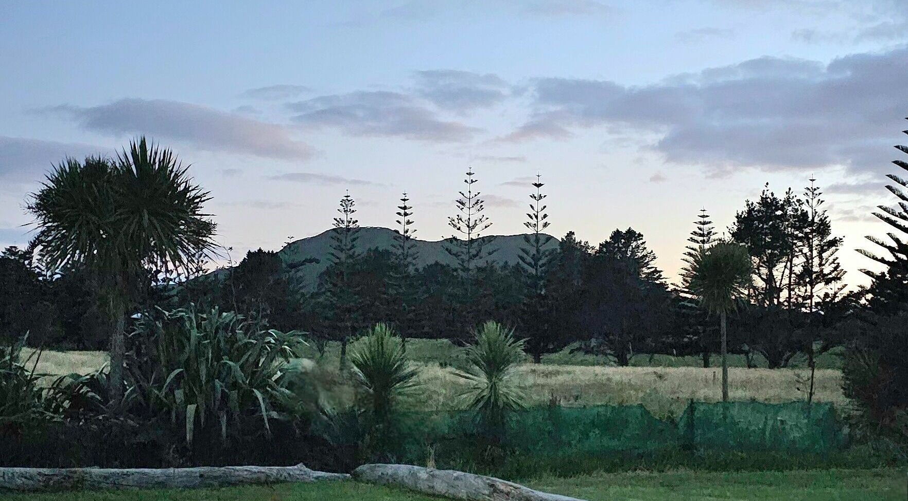 Scenic view of hills and trees at dusk near Wai Ora Spa Therapies in Pukenui, Northland Region, NZ.