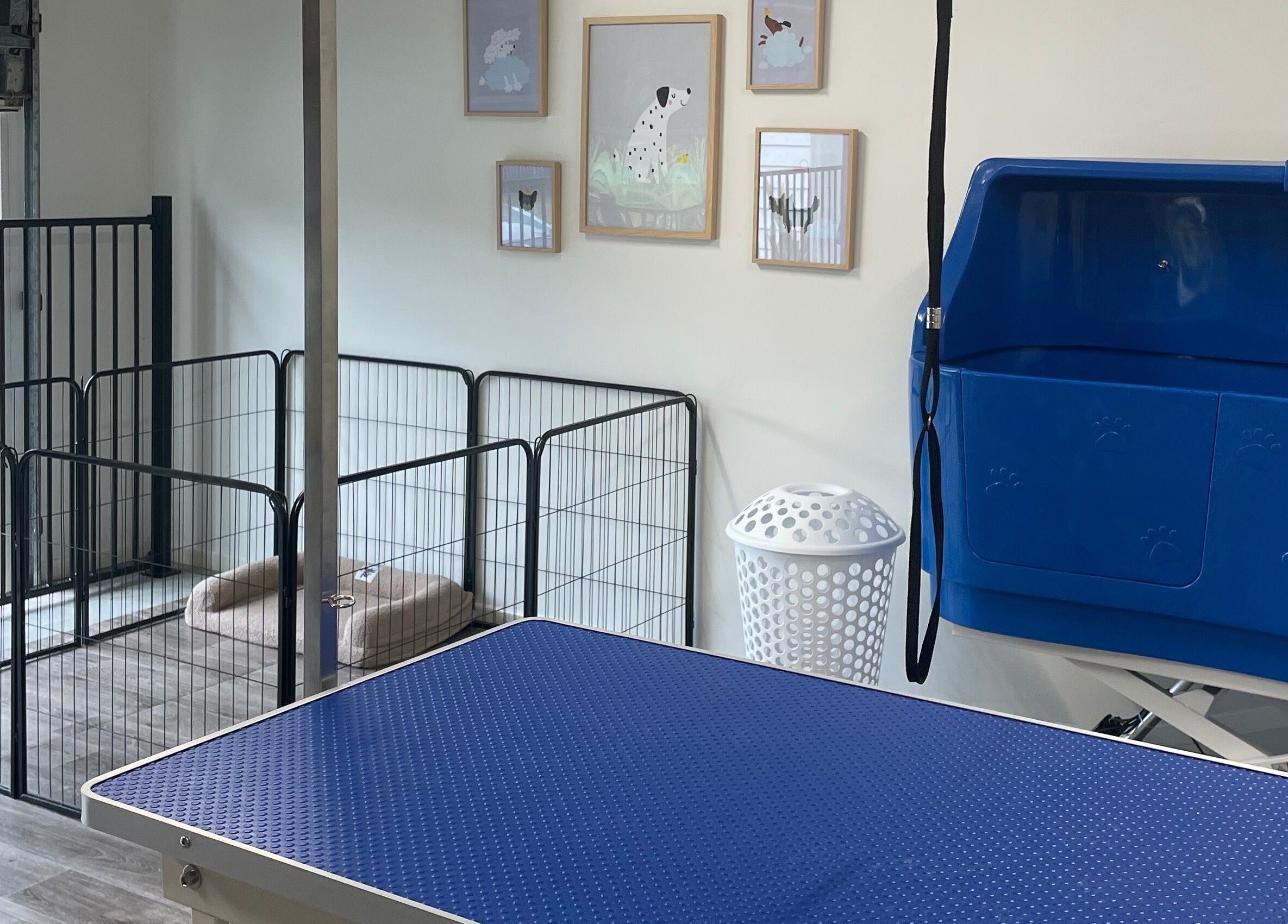 Grooming station and kennels at Salty Dogs Kingscliff, Kingscliff, New South Wales, AU, featuring pet-friendly decor.