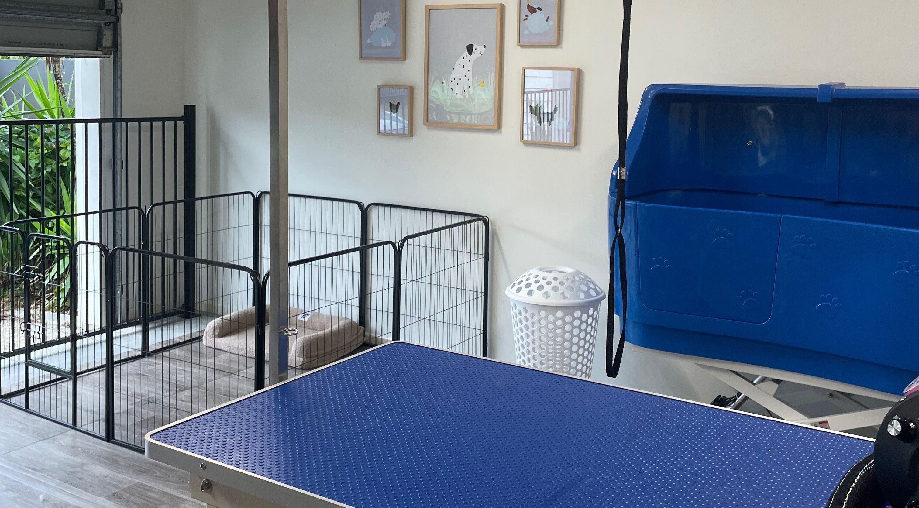 Grooming station and kennels at Salty Dogs Kingscliff, Kingscliff, New South Wales, AU, featuring pet-friendly decor.