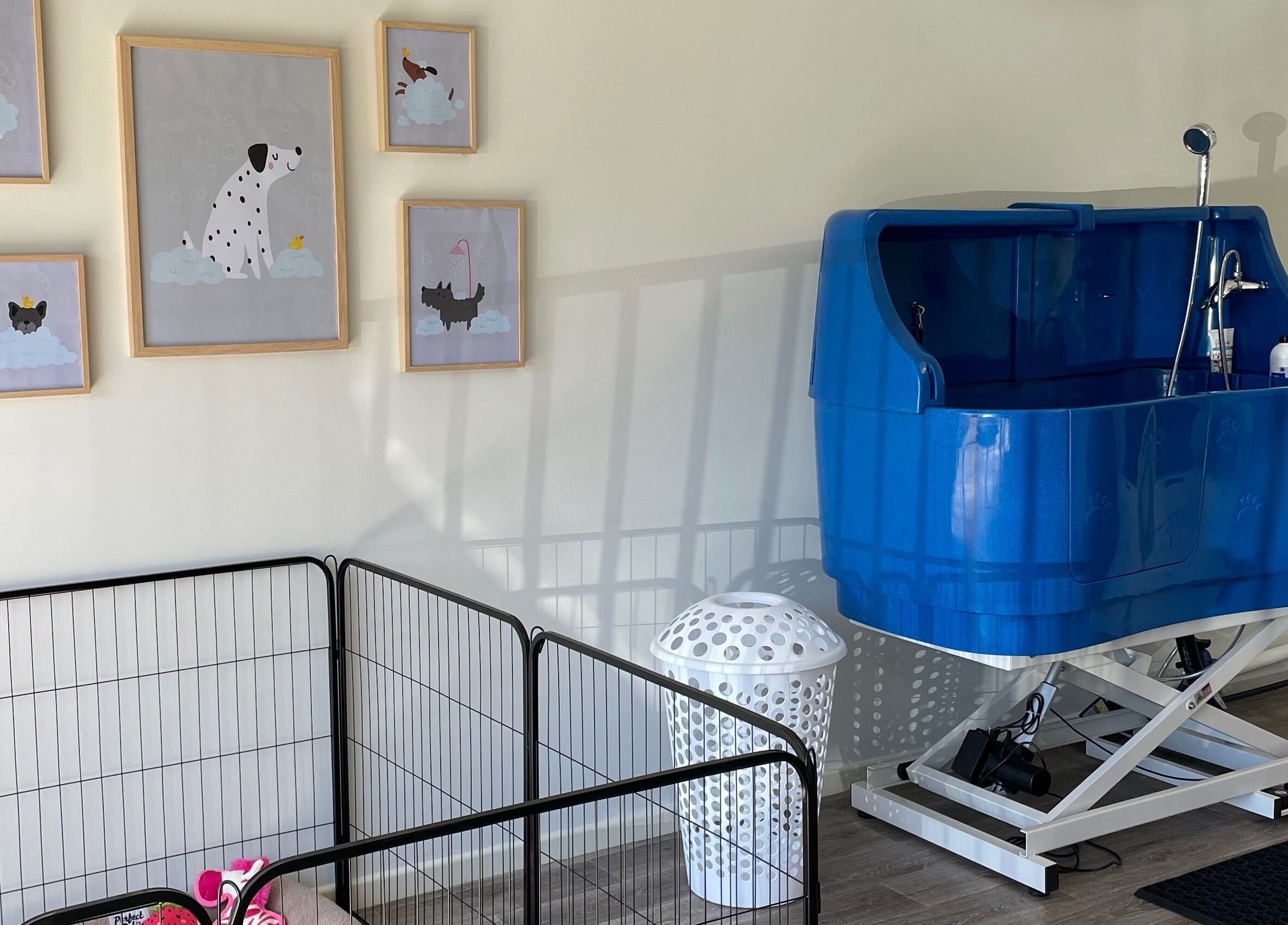 Pet spa area at Salty Dogs Kingscliff with a blue bath and art, located in Kingscliff, New South Wales, AU.