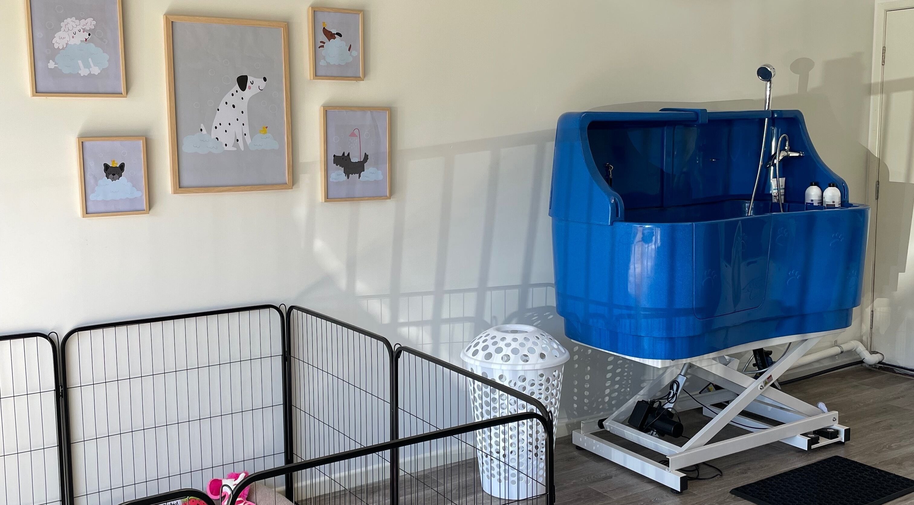 Pet spa area at Salty Dogs Kingscliff with a blue bath and art, located in Kingscliff, New South Wales, AU.