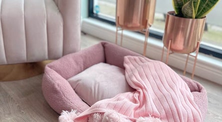 Pet bed and plant in relaxing corner at Micro Glow PMU, London, England, GB.