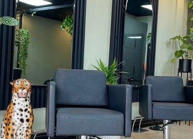 Modern salon interior at Hair by Erin, Mildenhall, England, GB with stylish chairs and lush greenery.