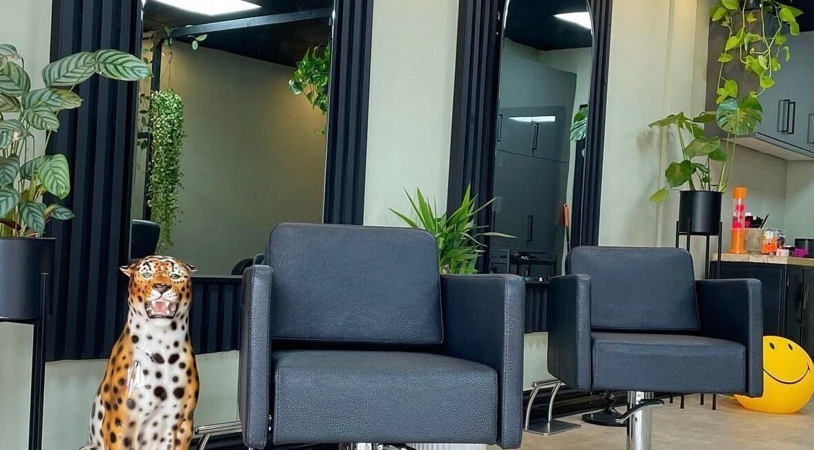 Modern salon interior at Hair by Erin, Mildenhall, England, GB with stylish chairs and lush greenery.