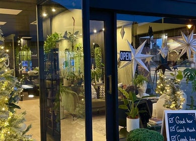 Festive decor at Hair by Erin, Mildenhall, England, GB, with glowing lights and plants creating a cozy atmosphere.
