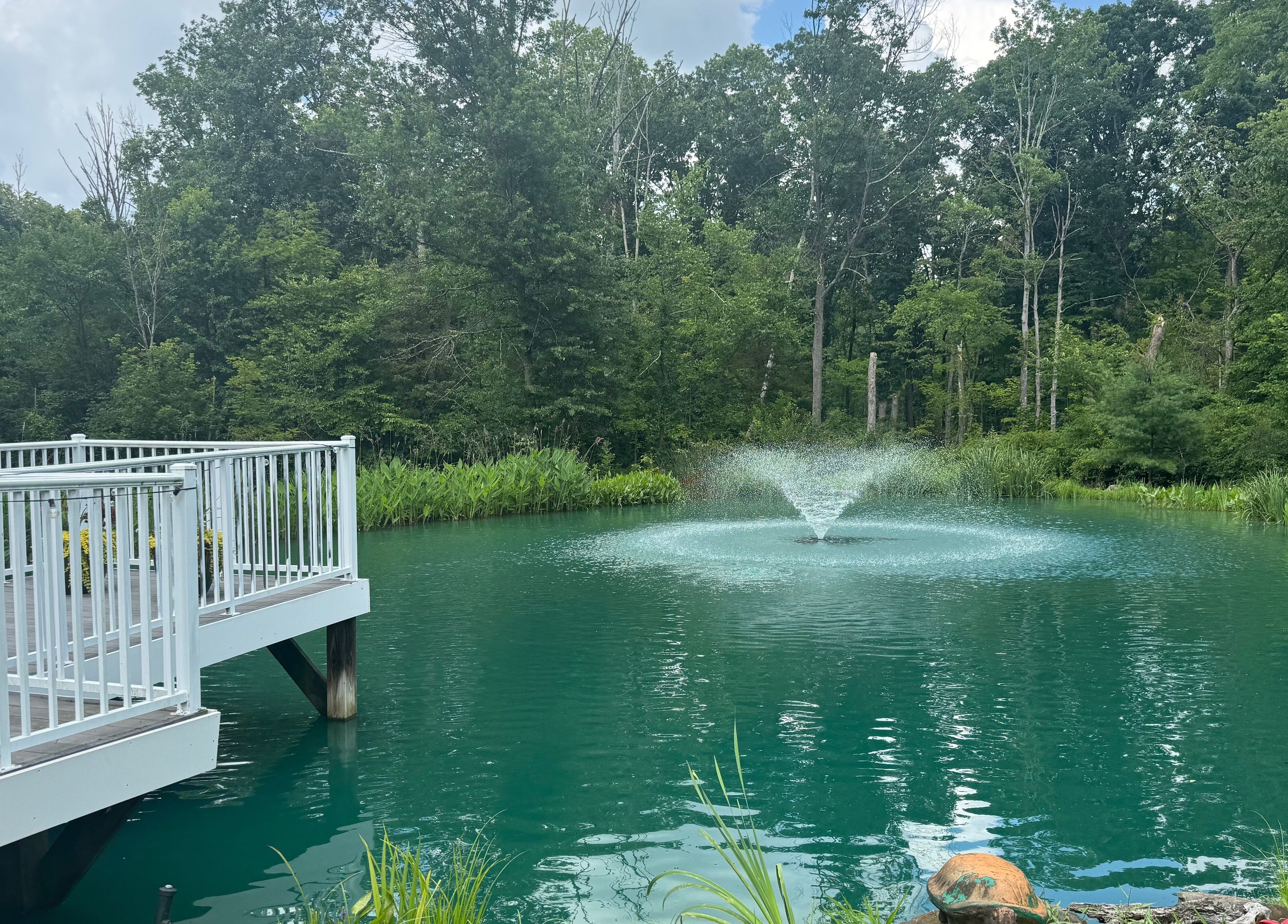 Peaceful pond with fountain at Aesthetically_Azaria, Green Lane, Pennsylvania, US.