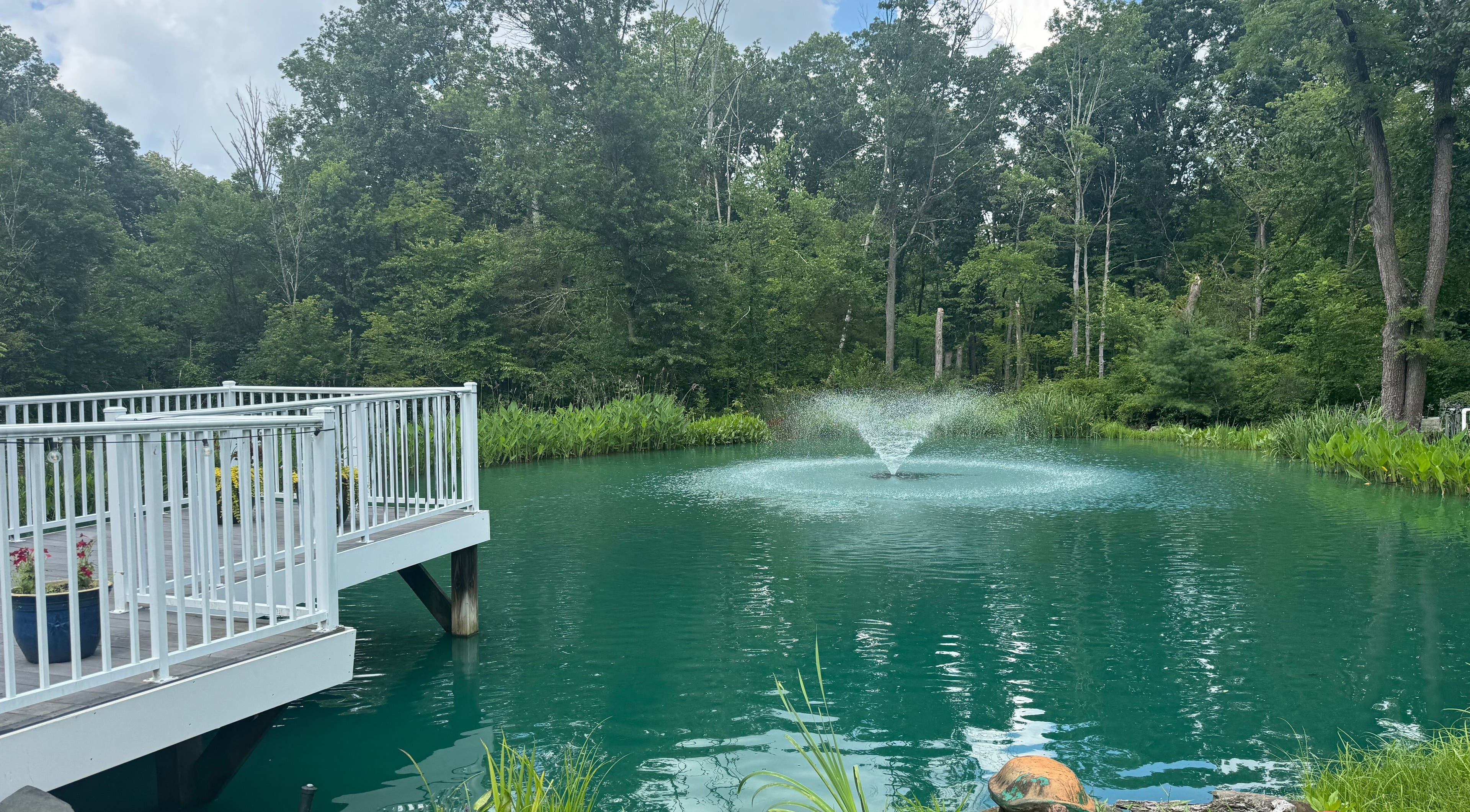 Peaceful pond with fountain at Aesthetically_Azaria, Green Lane, Pennsylvania, US.