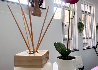 Relaxing diffuser and potted plant at Nocky Designs, Durban, Kwazulu-natal, ZA enhancing a tranquil ambience.